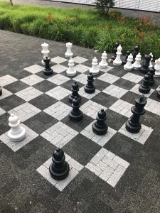 schaken bij QRU